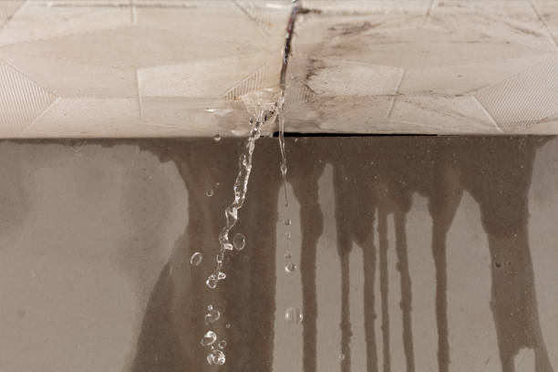 Professional Structural Drying technician working in East Bank, WV